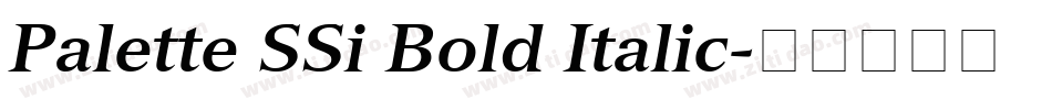 Palette SSi Bold Italic字体转换